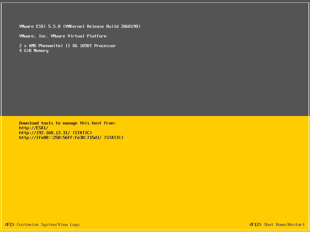 VMware ESXi 5.5 home screen